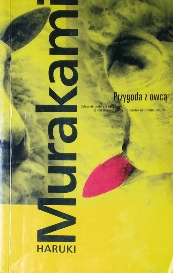 Haruki Murakami Przygoda z owcą