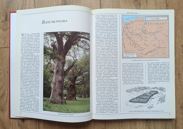 red. Stefan Kuczyński Księga królów i książąt polskich