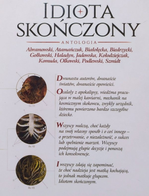 Idiota skończony. Antologia