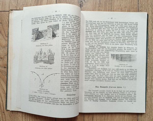Karl Leeder Wildkunde und Jagdbetrieb