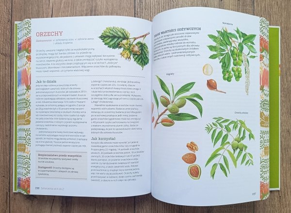 Ulubione leki i terapie naturalne lekarzy / Reader's Digest