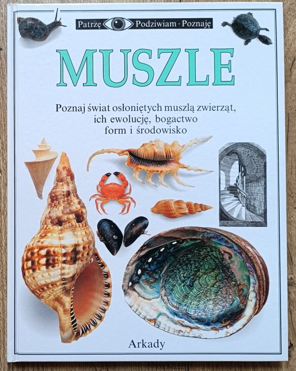Muszle. Patrzę Podziwiam Poznaję