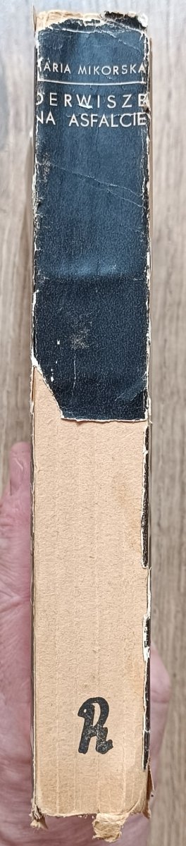 Maria Mikorska Derwisze na asfalcie