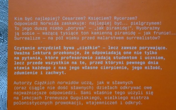 Stanisław Falkowski, Paweł Stępień • Ciężkie norwidy czyli subiektywny przewodnik po literaturze polskiej