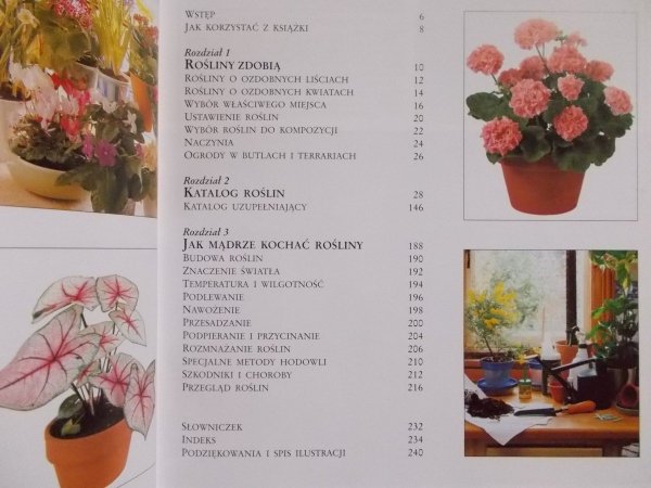 Jane Courtier, Graham Clarke • Kwiaty w domu. Jak dobierać i pielęgnować rośliny doniczkowe