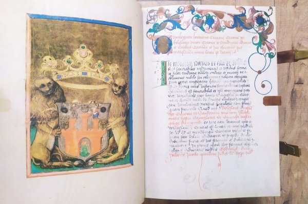 Balthasaris Behem Codex Picturatus [Kodeks Baltazara Behema]