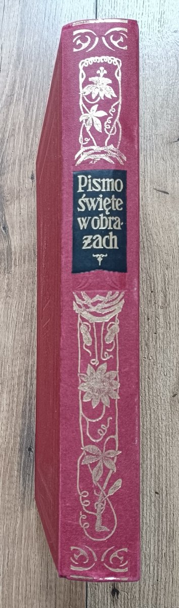Pismo Święte w obrazach. Dzieje Starego i Nowego Testamentu