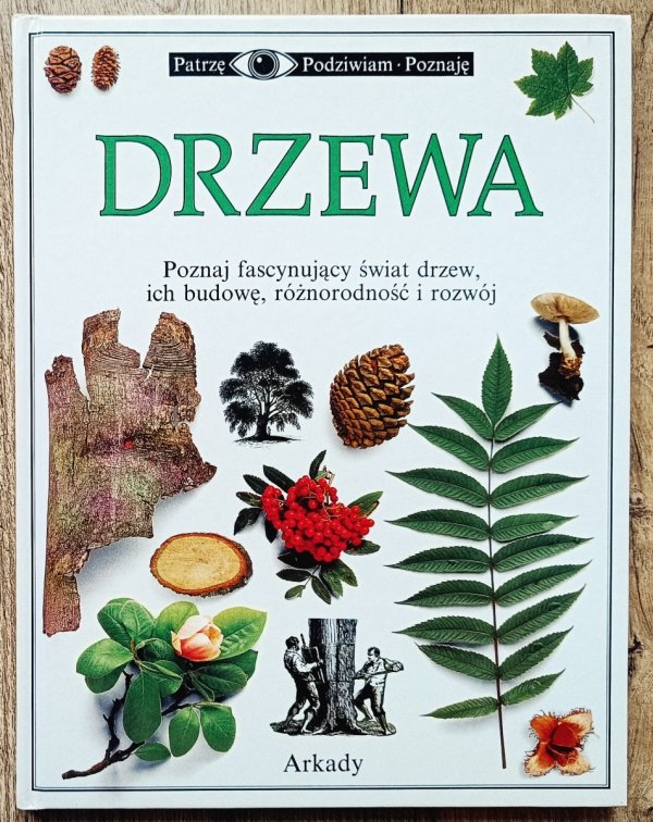 Drzewa. Patrzę Podziwiam Poznaję