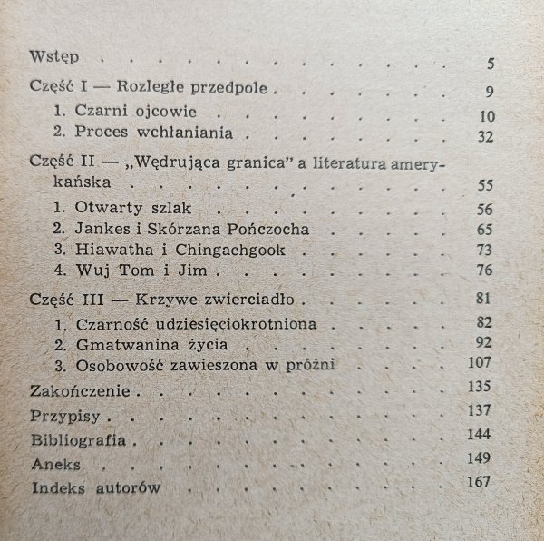 Viola Sachs Idee przewodnie literatury amerykańskiej