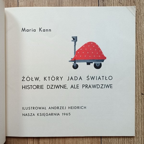 Maria Kann Żółw, który jada światło