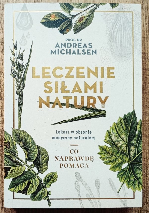 Andreas Michalsen Leczenie siłami natury