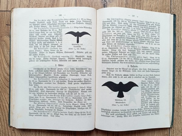 Karl Leeder Wildkunde und Jagdbetrieb