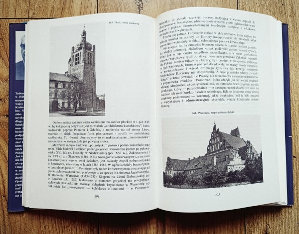 Tadeusz Chrzanowski Sztuka w Polsce Piastów i Jagiellonów. Zarys dziejów