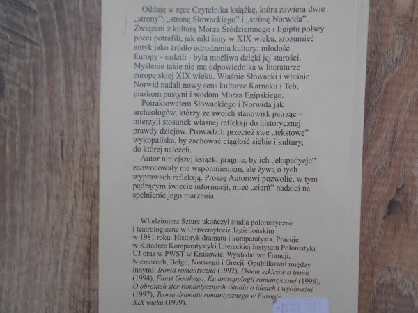 Włodzimierz Szturc • Archeologia wyobraźni. Słowacki, Norwid