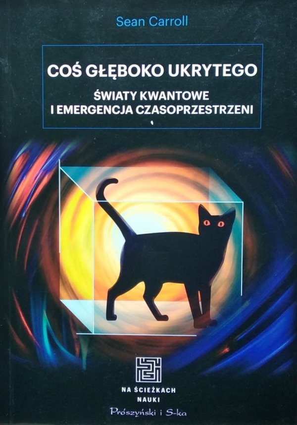 Sean Carroll • Coś głęboko ukrytego