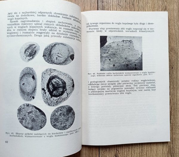 S.A. Jachowiczowie Kiedy węgiel był zielony