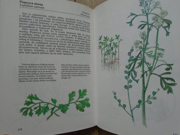 Jan Kybal, Jirina Kaplicka • Rośliny aromatyczne i przyprawowe
