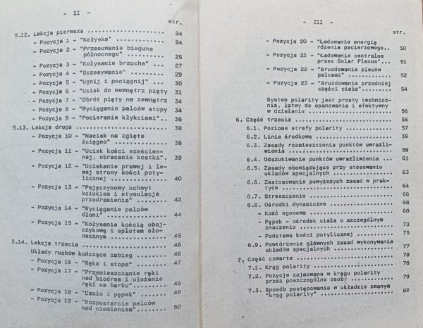 Richard Gordon Polarity. Praktyczna Bioenergoterapia