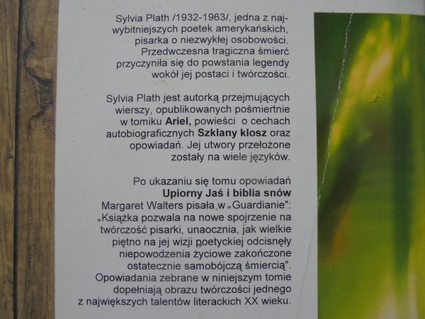 Sylvia Plath • Upiorny Jaś i biblia snów