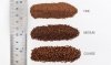 Woodland Scenics WB1379 Brown Medium Ballast podsypka 1L
