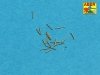 Aber 700 L-36 Set of 20 pcs 37 mm /54 Breda gun barrels for Italian Navy ships (1:700)