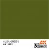 AK Interactive AK11152 ALGA GREEN – STANDARD 17ml