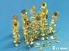E.T. Model J35-014 Sun Flower 1/35