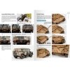 502 Abteilung PACK79 PACK COMBAT VEHICLES OF WWII – VOLUME 1 & 2 EN