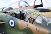 Special Hobby 32087 T-2 Buckeye Anniversary Markings 1/32