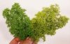 Model Scene 701-01S Fine Bushes - Spring