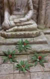RT-Diorama 35613 Jungle Plant No.3 1/35