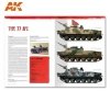 AK Interactive AK666 CHINESE POWER (EN)