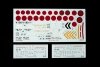 Eduard 11168 SAMURAI DUAL COMBO Limited edition 1/48
