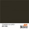 AK Interactive AK11026 Tenebrous Grey 17ml