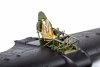 Eduard FE1382 Hurricane Mk. IIc Arma Hobby 1/48