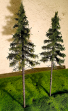 FREON SG1 Mountain Spruce  - Świerk Wysokogórski Większy 26/28 cm 3 sztuki