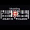  Modelling Made in Poland