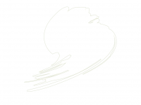 Hataka HTK-C101 Traffic White (RAL 9016) 17ml