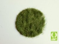 Model Scene 004-03 Grass-Flock 4,5 mm - Early Summer 50g