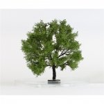 FREON GP1 Pear tree - Grusza Polna 16/17cm