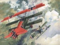 Roden 010 Fokker Dr.I 1/72