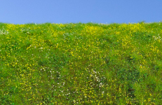 Model Scene F561S Blooming meadow - spring - MINIPACK 1/35