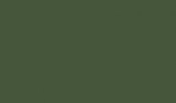 Lifecolor UA479 - Dunkelgrun Grau 22ml