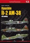 Kagero 7013 Ilyushin Il-2 AM-38 all models EN/PL