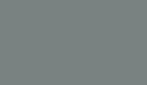 Lifecolor UA476 - Feldgrau Uniforms 22ml