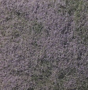 Woodland WF177 Flowering Foliage Purple - Listowie fioletowe