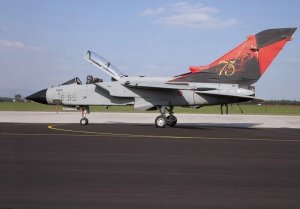 Italeri 1336 Tornado IDS/ECR Special Colors (1:72)