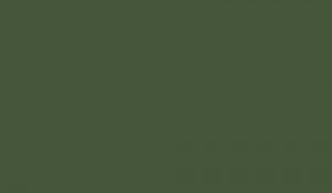 Lifecolor UA479 - Dunkelgrun Grau 22ml
