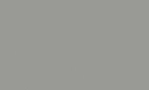 Lifecolor UA565 - Aegean/HAF Spartan Grey FS36280 Satin 22ml
