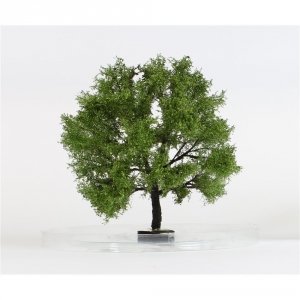 FREON GP1 Pear tree - Grusza Polna 16/17cm